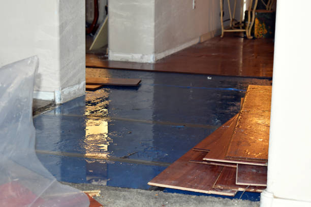 Professional Burst Pipe Cleanup technician working in Enon, OH